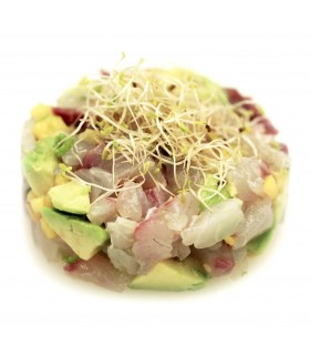 T3 TARTARE DAURADE AVOCAT