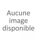 A2B Soupe udon boeuf